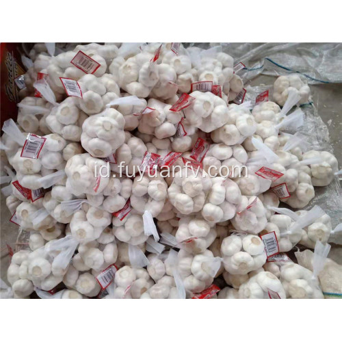 Top kualitas 5.0cm bawang putih putih murni